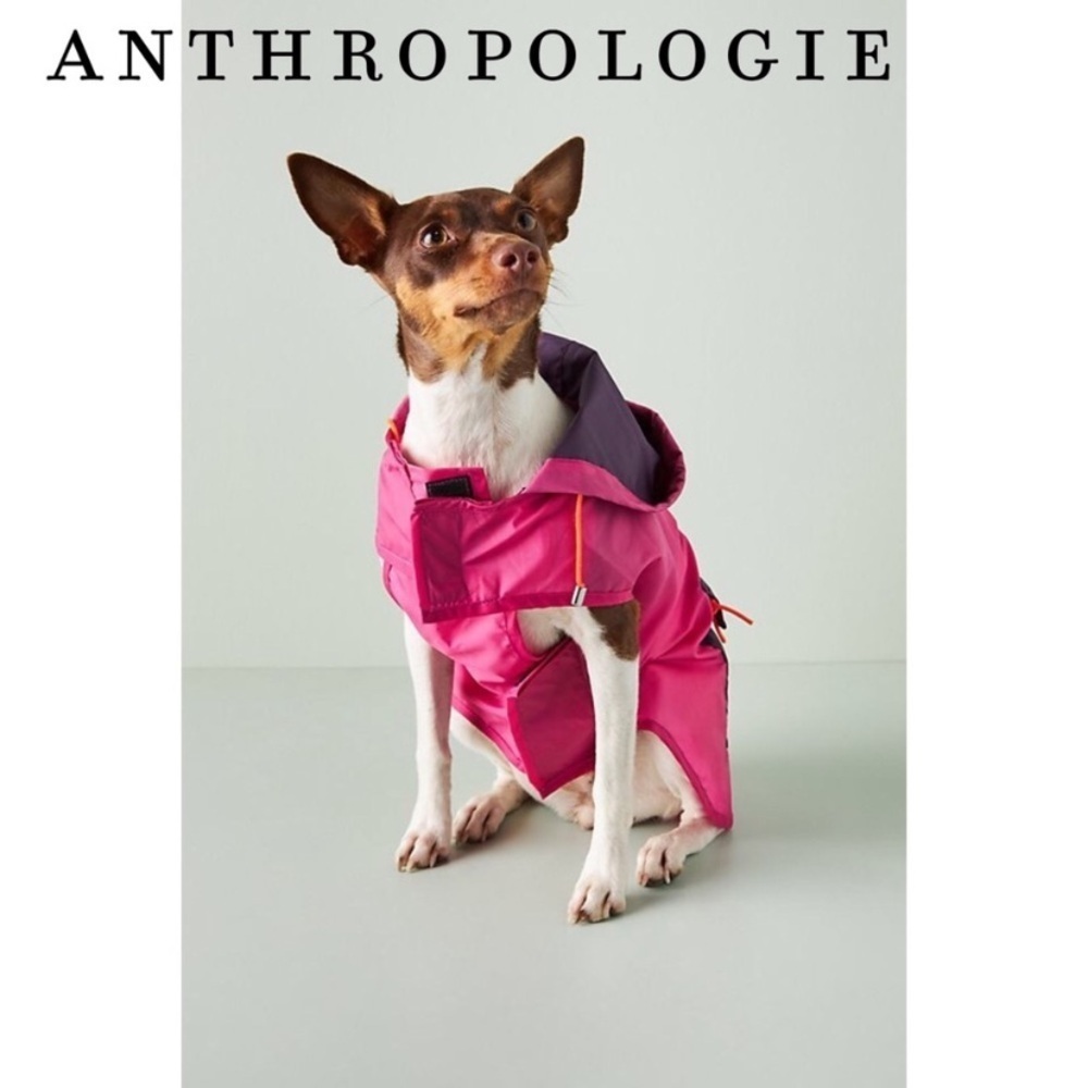 Anthropologie Ware of the Dog Anorak Raincoat size 3 new with tags